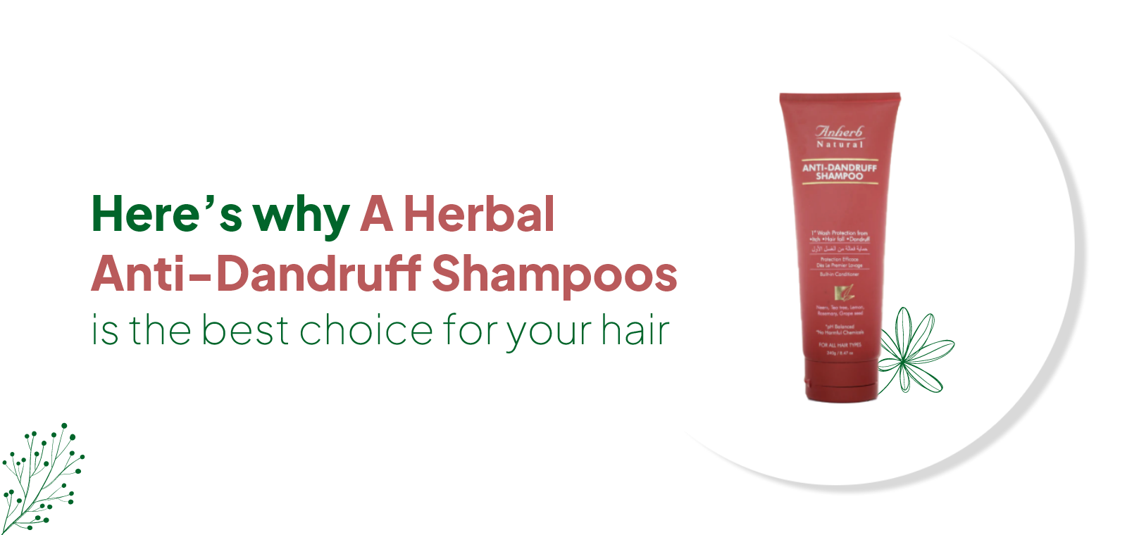 Here’s why a Herbal Anti-Dandruff Shampoo is the best choice for your hair