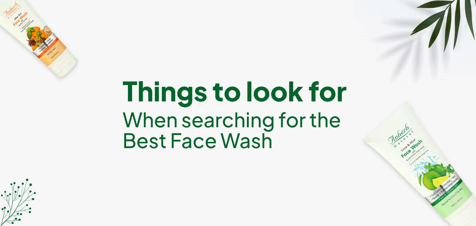 Things to look for when searching for the best face wash