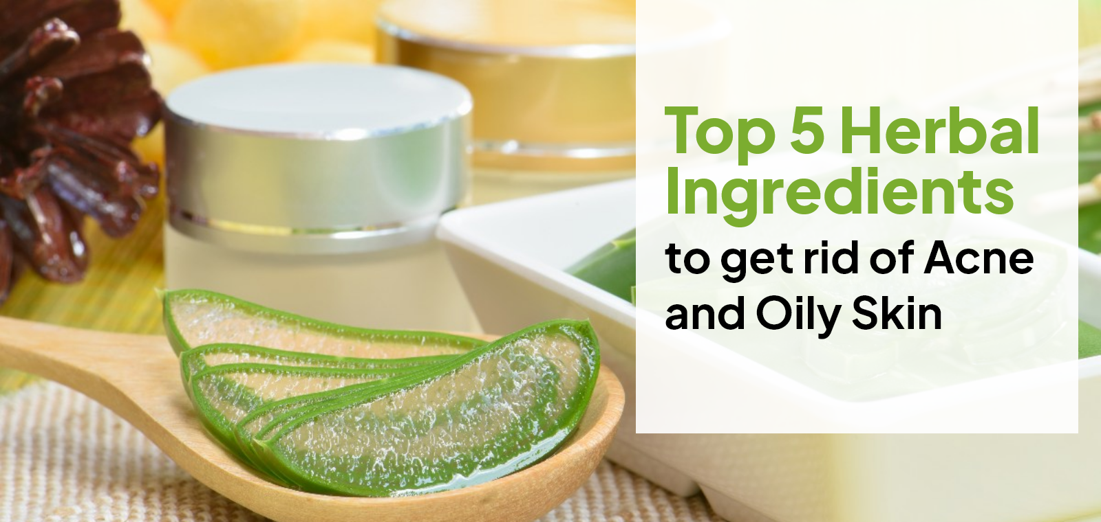 Top 5 Herbal Ingredients to get rid of Acne and Oily Skin