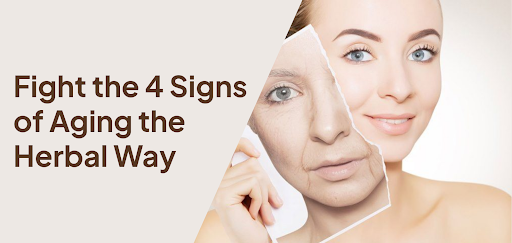 Fight the 4 Signs of Aging the Herbal Way
